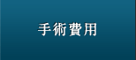 手術費用